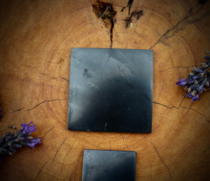 Shungite Square Phone Plate