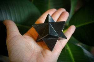 Merkaba Shungite Stone