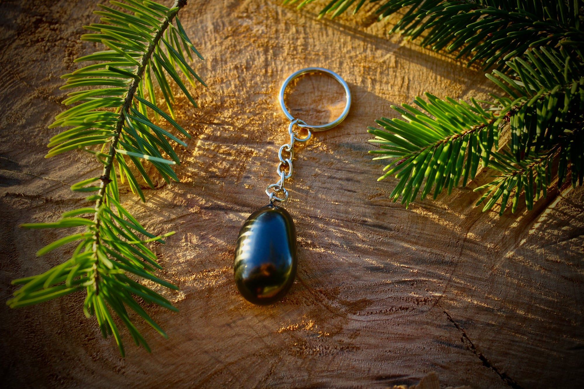 "Collection of four Shungite keychains featuring round, trapezoid, pendulum, and tumble shapes, showcasing their unique designs for EMF protection and energy healing."